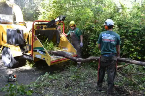 tree services Bon Secour